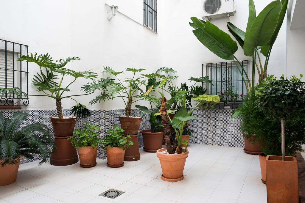 Urbanchicmalaga 3 Bedroom Spacious Quiet Historic Malaga Apt Exteriör bild